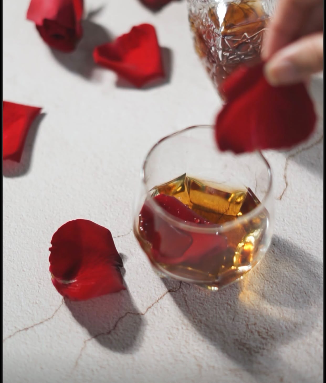 Rose d'Orient — 3