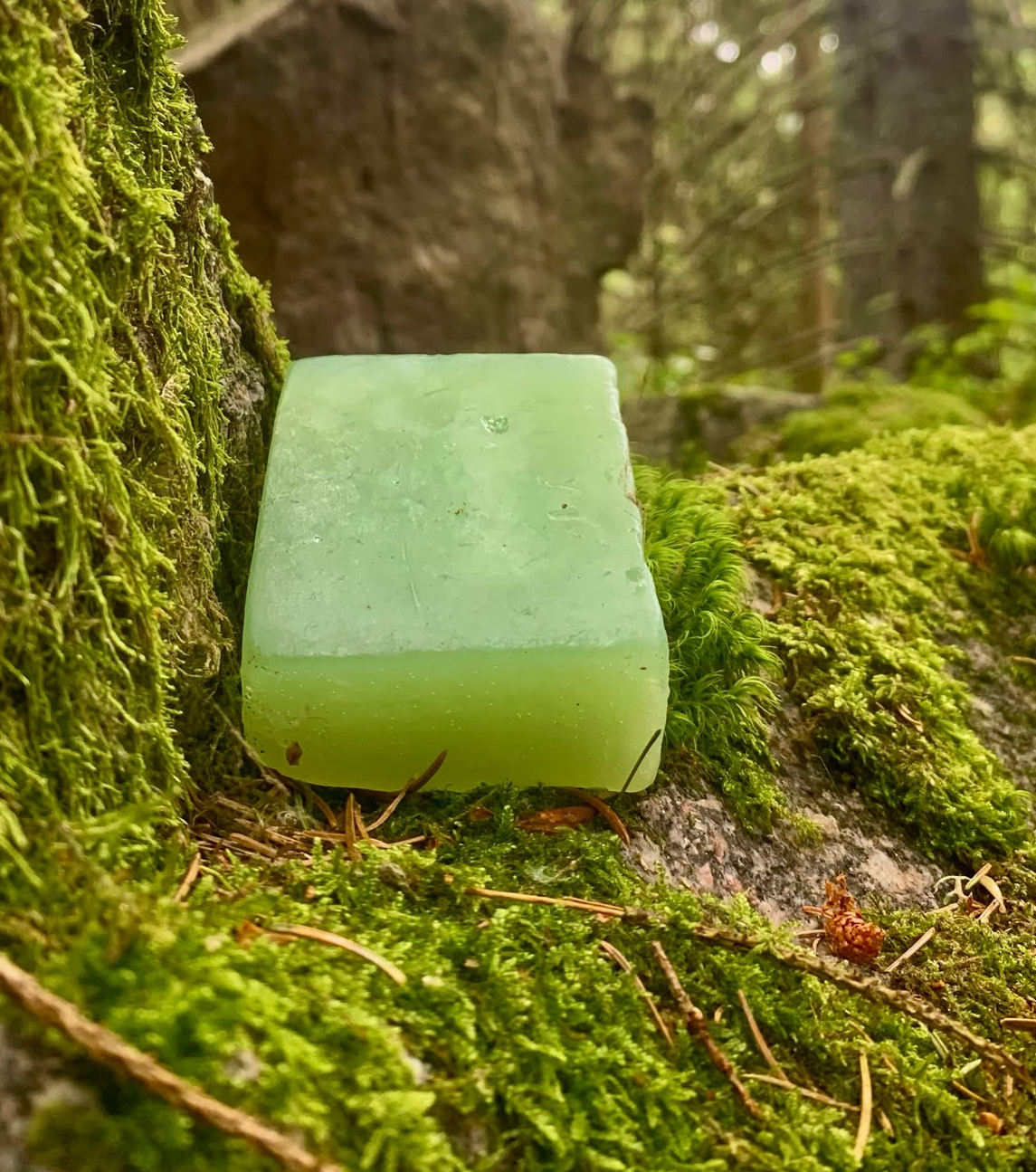 Savon artisanal sur mousse en forêt
